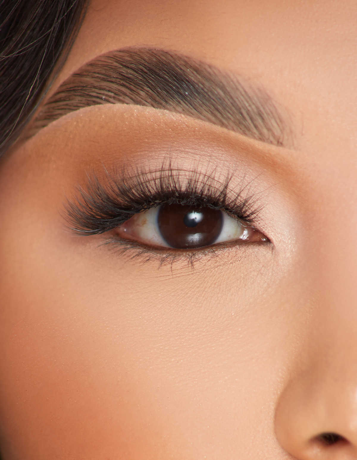 P.Louise Bouquet Breeze False Eyelashes for a Fluttery Look