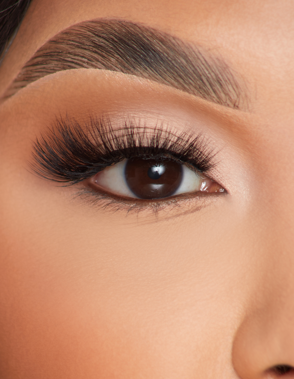 P.Louise Feather Flair False Eyelashes for Dramatic Look