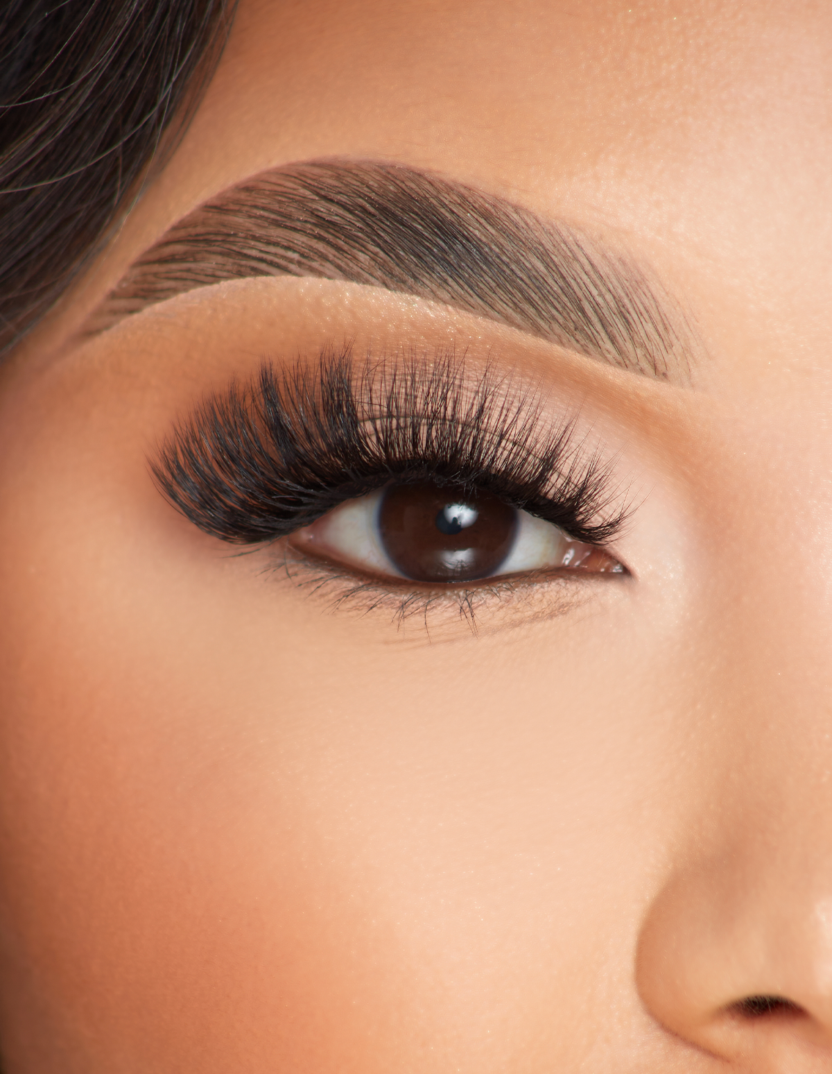 P.Louise Cat Eye Lashes - Full Volume Ultra Dark Finish