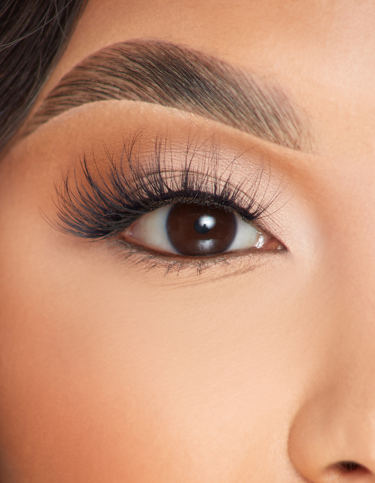 P.Louise Radiant Romance False Eyelashes for Dramatic Look