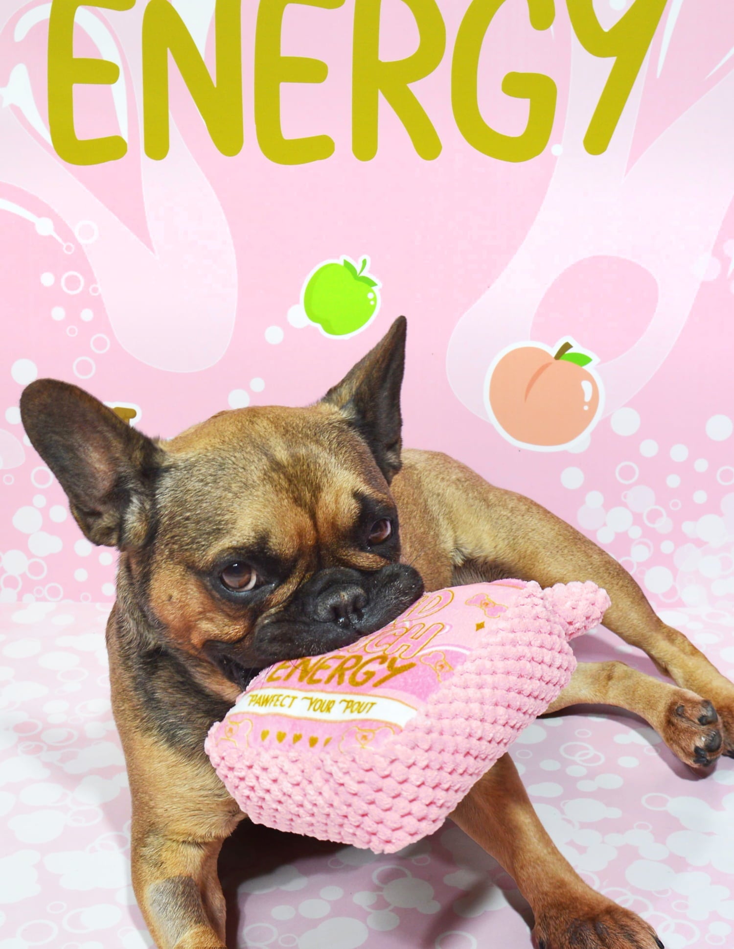 P.Louise Bad B Dog Toy - Plush Chew & Fetch Plaything